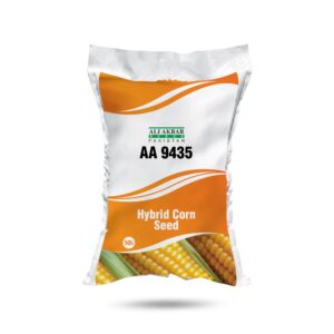 AA 9435