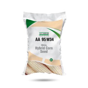 AA 95W34 White Corn Hybrid Seed
