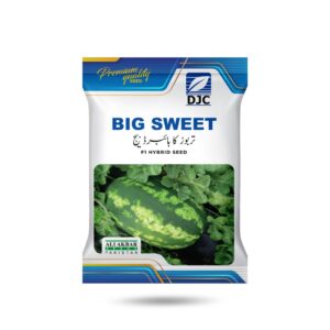 Big Sweet
