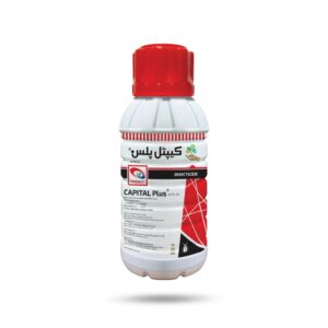 Capital Plus 41.7% EC