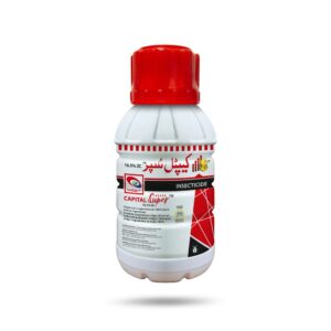 Capital Super 16.5% ZC