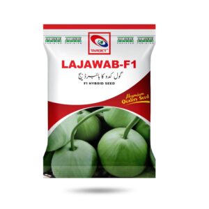 Lajawab Round Gourd Hybrid Seed