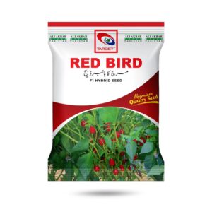 Red Bird Chili Hybrid Seed