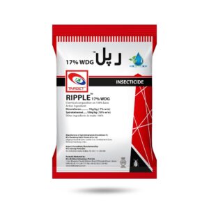 Ripple 17% WDG