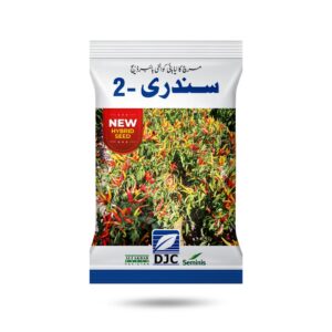 Sundri-2