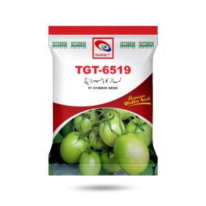 TGT 6519 Tomato Hybrid Seed