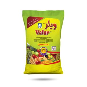 Vallor
