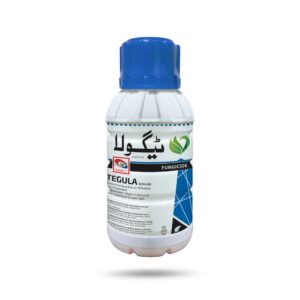 Tegula 12.5%  EW